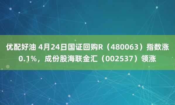 优配好油 4月24日国证回购R（480063）指数涨0.1%，成份股海联金汇（002537）领涨