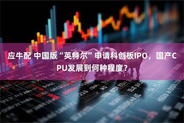 应牛配 中国版“英特尔”申请科创板IPO，国产CPU发展到何种程度？