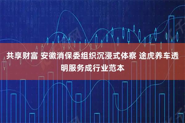 共享财富 安徽消保委组织沉浸式体察 途虎养车透明服务成行业范本