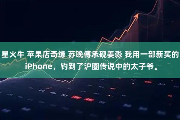 星火牛 苹果店奇缘 苏晚傅承砚姜淼 我用一部新买的 iPhone，钓到了沪圈传说中的太子爷。