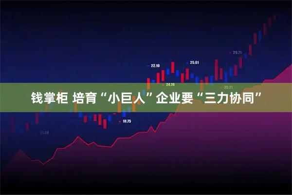 钱掌柜 培育“小巨人”企业要“三力协同”