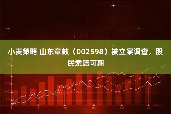 小麦策略 山东章鼓（002598）被立案调查，股民索赔可期